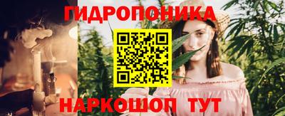 дмт Краснодар